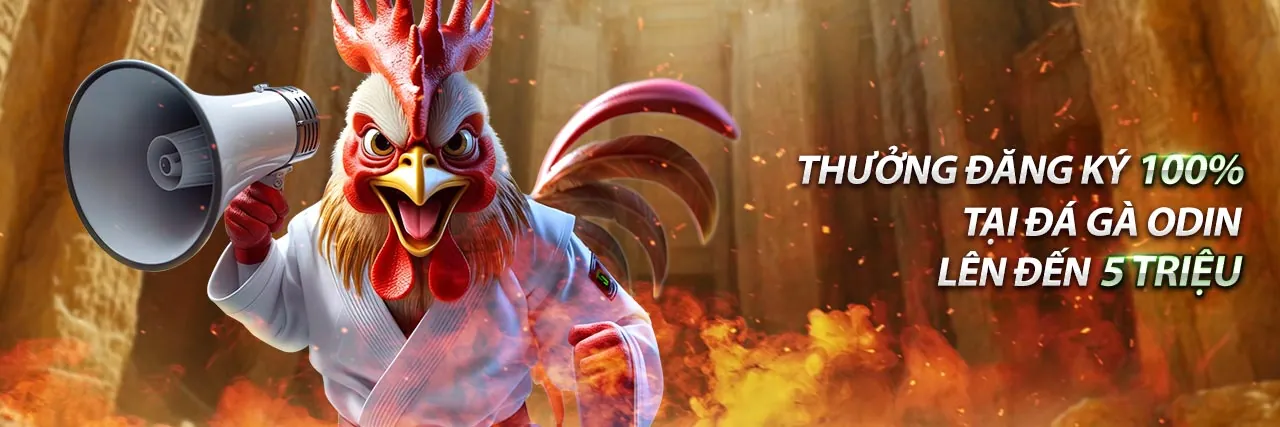 Các loại mã khuyến mãi Shbet