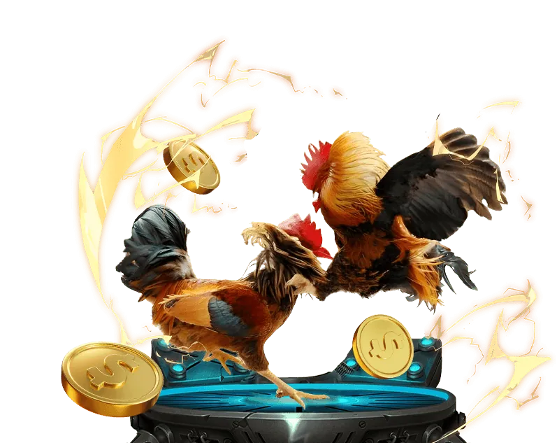 Tổng quan cá cược thể thao Shbet